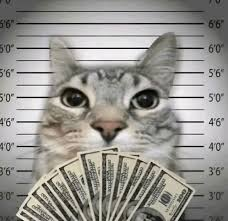 I fucking hate ******* i bought this to show that